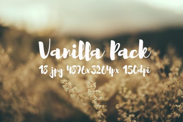 香草花卉近照高清照片素材 Vanilla photo Pack