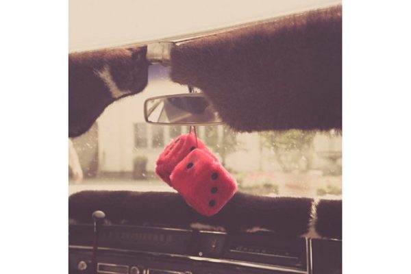 美式肌肉车高清照片集v1 American Muscle Cars Vol. 1 (12x)