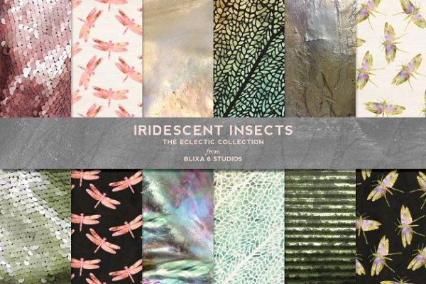 华丽彩虹金箔色蜻蜓鳞片图案纹理 Iridescent Insects & Backgrounds
