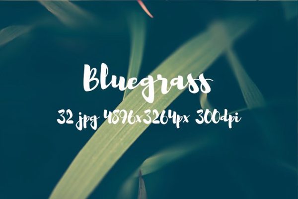 高清绿草照片素材合集 Bluegrass photo pack