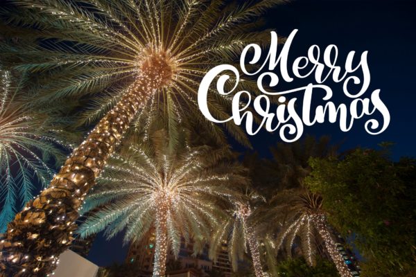 圣诞装饰棕榈高清背景图片素材 Christmas palm