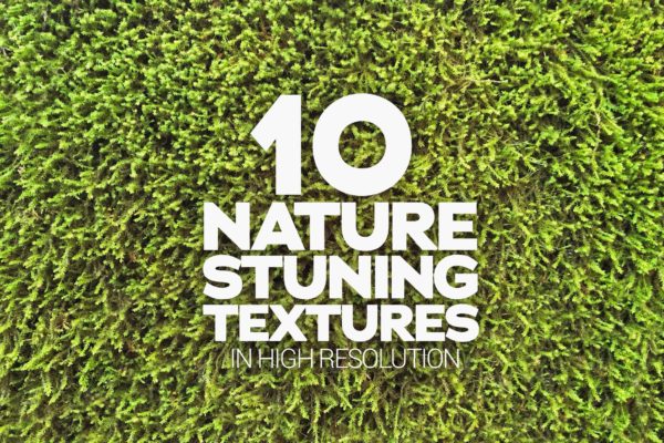10张绿植高清背景图片片精选素材 Nature Stuning Textures x10