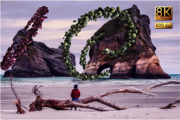 8K高分辨率创意珍珠和刺猬状装饰叠层背景 Hedgehogs & Pearls