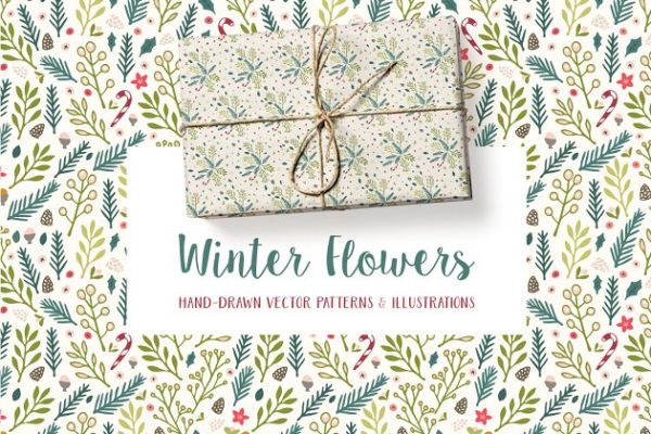 冬天圣诞节节日主题花卉图案纹理素材精选 Winter Flowers Christmas Patterns