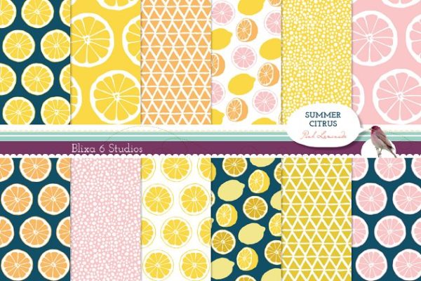 充满夏季气息的柑橘和柠檬图案纹理素材精选 Summer Citrus Digital Lemon Patterns