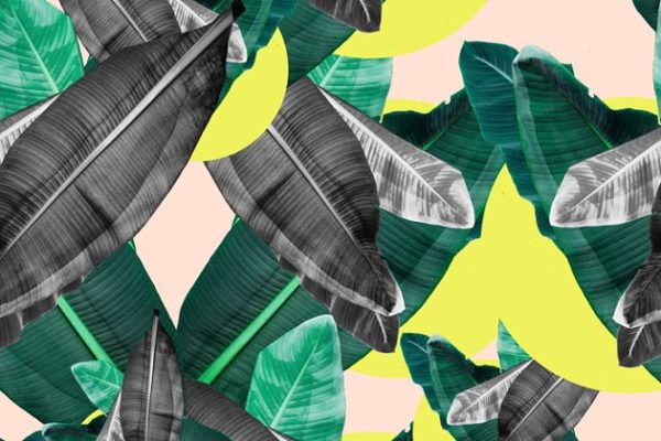 带叶的无缝花卉图案纹理素材精选 Seamless floral pattern with leaves