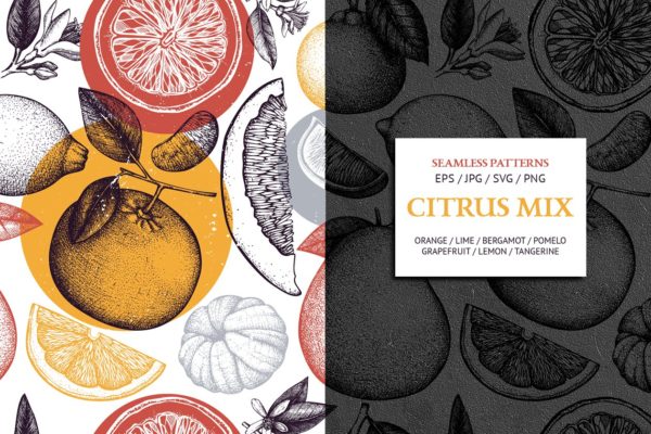 柑橘属果实图案纹理素材精选 Citrus Fruits Patterns Collection