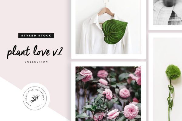 多风格植物叶子元素纹理 Plant Love V.2  Styled Stock Set