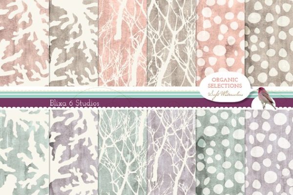 有机植物水彩图案素材 Organic Objects & Watercolor Texture