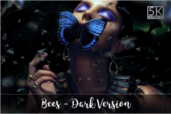 5K高分辨率逼真蜜蜂照片叠层背景素材 5K Bees Overlays – Dark Version