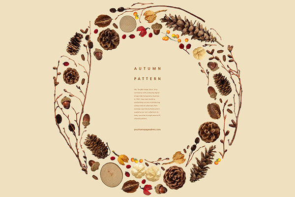 秋收季节野果图案背景psd素材