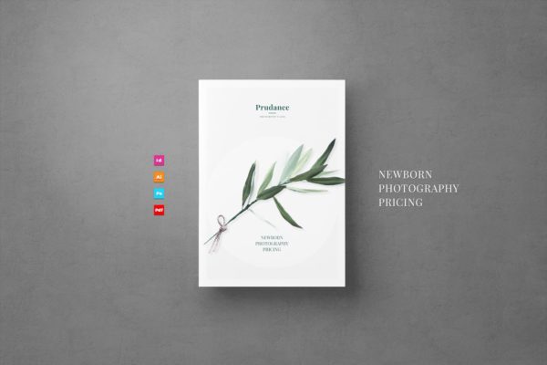 新生婴儿艺术照摄影套餐传单模板 Newborn Pricing Flyer