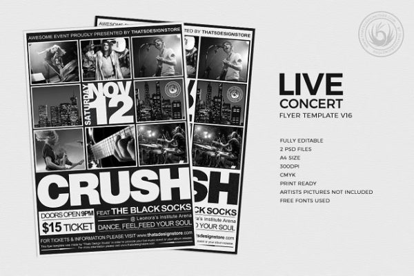 户外音乐节活动传单PSD模板v16 Live Concert Flyer PSD V16