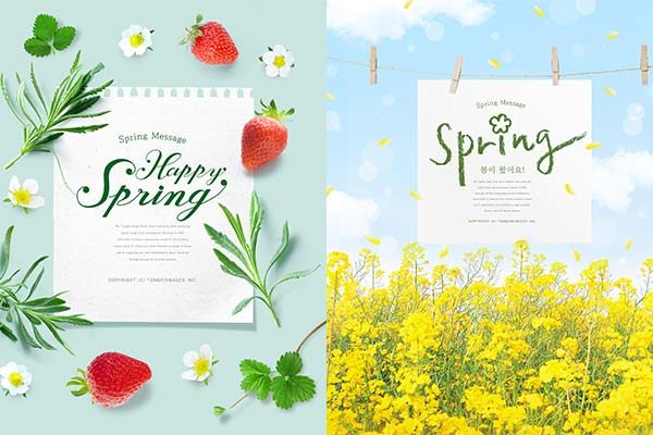 清新的春天氛围创意海报模板PSD