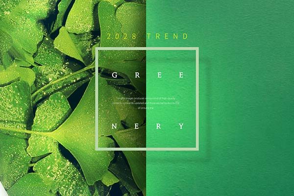 春夏绿色主题海报模板PSD下载