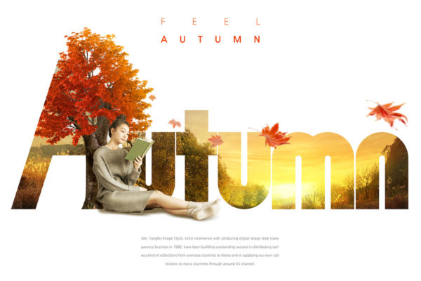 秋季主题学习读书海报素材