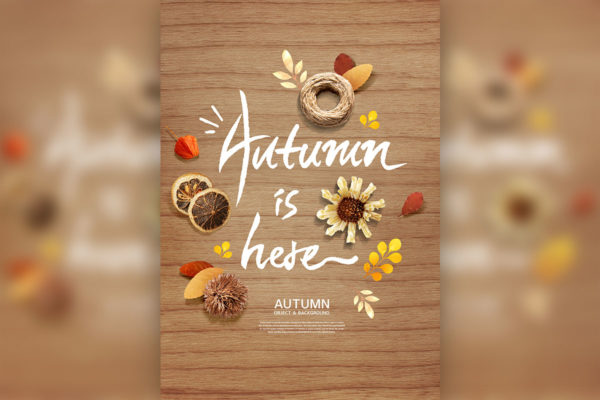 秋天季节海报背景图片psd素材
