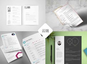 VIP：27个博主多年收藏的高端简历设计模版合辑[psd+ai+indd]