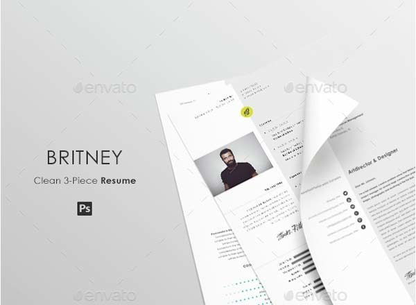 非常大气高端而优雅的一套高端简历设计模板