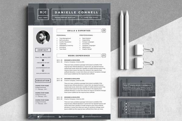 精致、优雅融合现代风格高端简历设计模版