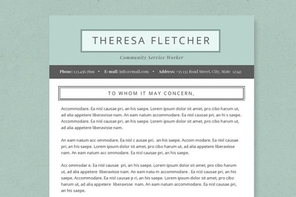 介绍信、简历多合一简约高端简历设计模板 Chic Resume Template Package