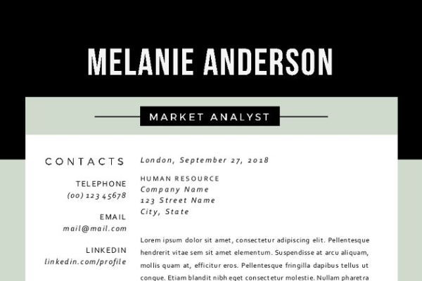 经典实用三合一高端简历设计模板 3 in 1 modern 2 pages resume pack