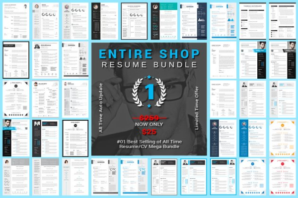 终极高端简历设计模板大合集（15款创意简历+3款信息图表模板） Entire Shop Resume/CV Mega Bundle