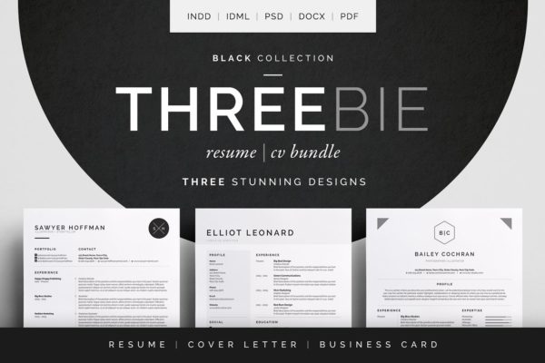 经典实用多风格高端简历设计模板合集 Threebie Resume/CV Bundle 4