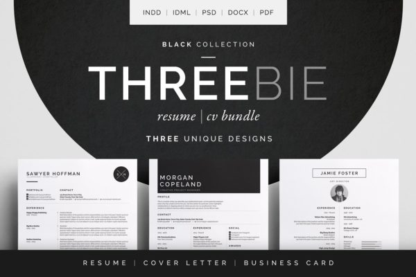 简约实用风格高端简历设计模板套装[三种风格] Threebie Resume/CV Bundle 1