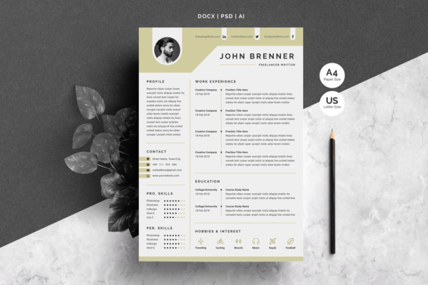 极简主义个人高端简历设计模板 Minimal Resume Template 2 Pages