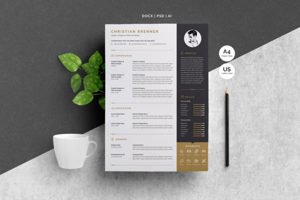极简个人白色图文高端简历设计模板 Resume/CV Template