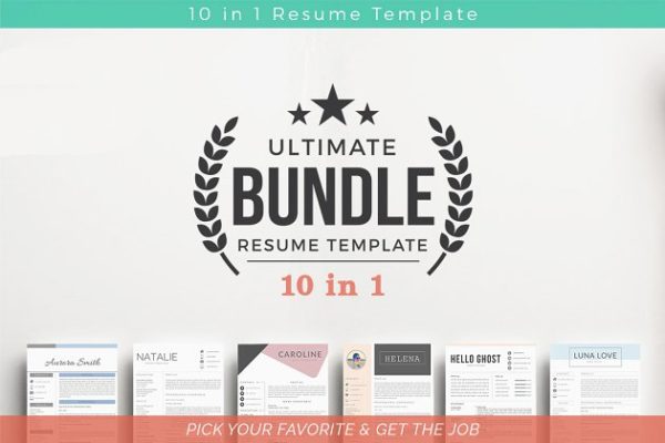 10合一高端简历设计模板合集 10 in 1 Resume Templates Bundle
