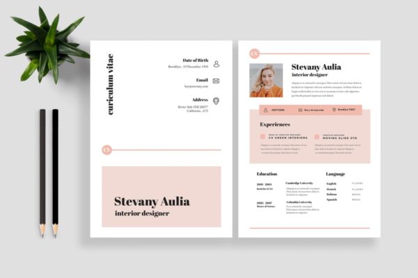 极简主义个人应聘求职高端简历设计模板V12 Clean Resume / CV 12