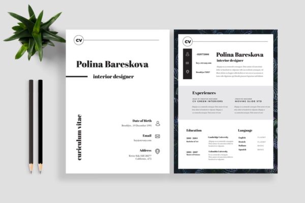 极简主义设计风格个人职位应聘高端简历设计模板V13 Clean Resume CV 13