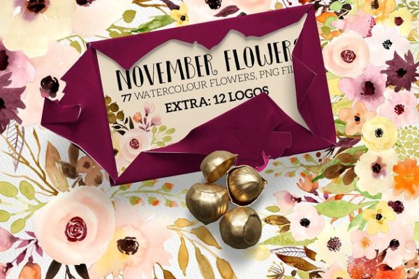 水彩花卉设计素材+12个花卉Logo设计模板精选 November Flowers