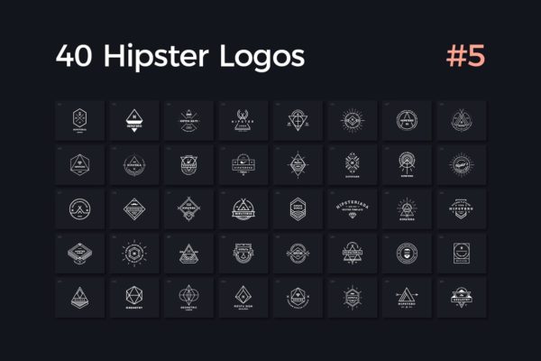 40个多用途时髦Logo设计模板精选V.5 40 Hipster Logos Vol. 5