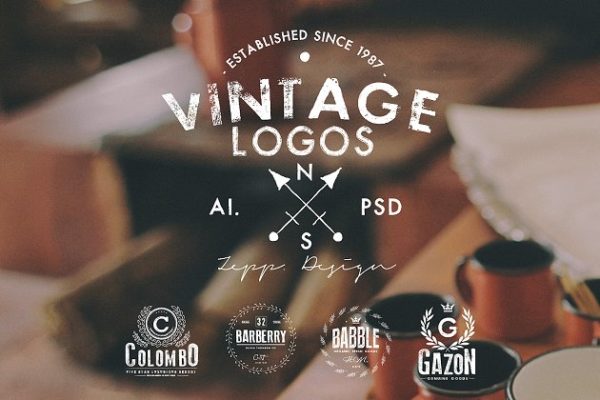 复古环绕花边徽章设计Logo设计模板精选 Vintage Logos & Badges Set 4