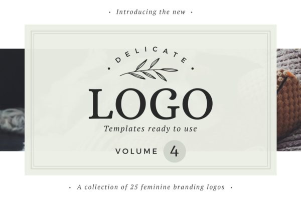 即拿即用优雅风格英文Logo设计模板 Delicate Logos – Volume 04