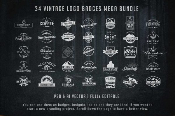 复古徽标徽章Logo设计模板精选套装 Vintage Logo Badges Bundle