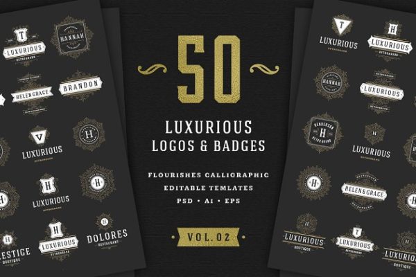 50个奢华装饰Logo及徽章  50 Ornament logos & badges