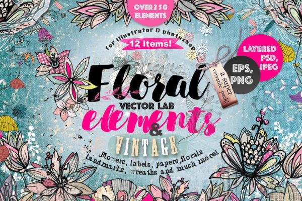 极力推荐：超级矢量花卉素材库 VECTOR LAB "FLORAl&VINTAGE"