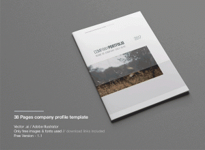一套完美的公司画册杂志Ai模版文件免费[38页]
