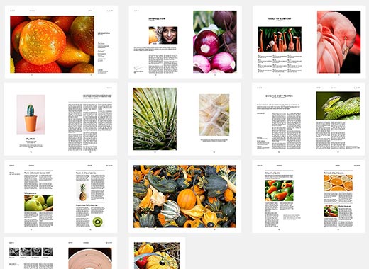 34页现代、干净的杂志模板[indd]