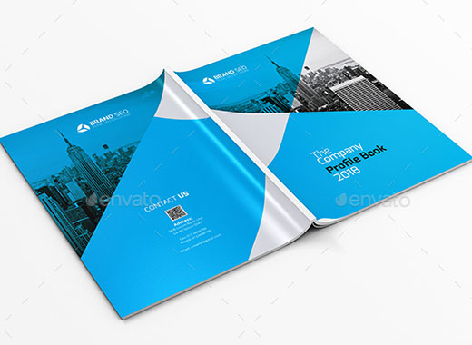 一套企业介绍类杂志模板[indd]