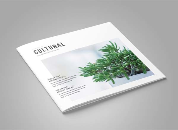 Volkhov Magazine专业、清新、干净的杂志模板[indd]