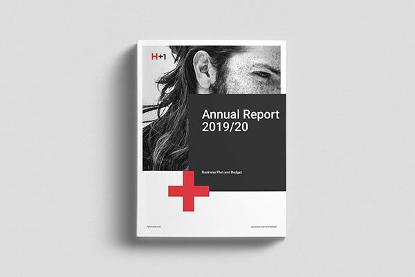 36页专业极简的年度总结杂志模板 Annual Reports [indd]