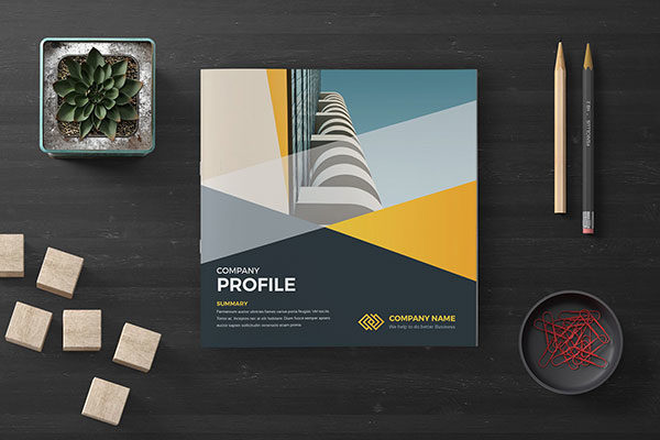 专业极简的公司简介画册设计模板 Company Profile Square [indd]