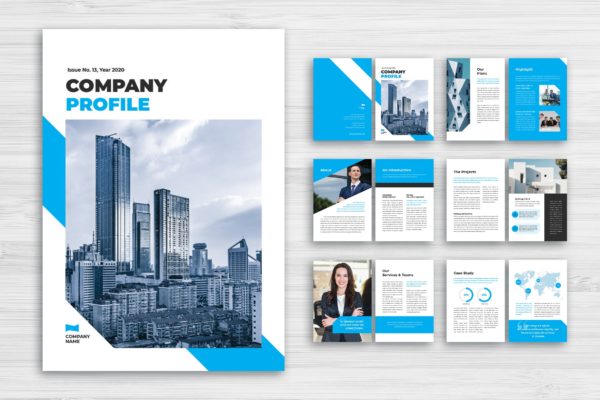 金融服务公司画册版式设计模板 Company Profile