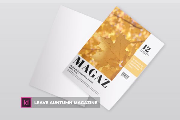 高端简约多行业适用杂志设计模板精选 Leave Auntumn | Magazine Template