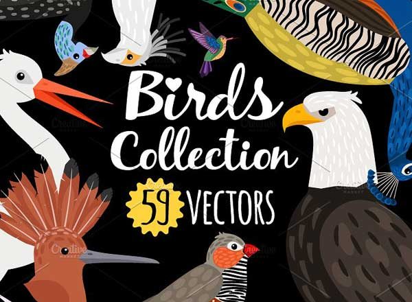 海量各种鸟手绘矢量素材精选 Big set of Different Birds